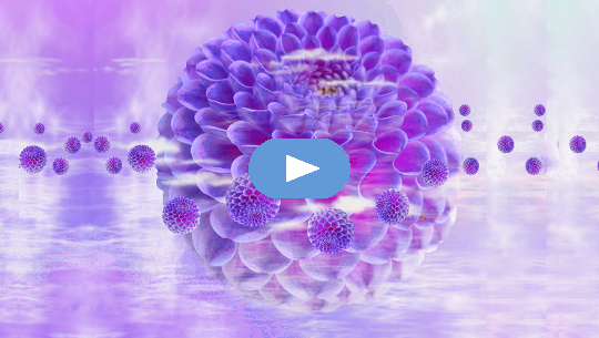 Loving Ourselves Back to Life: New Moon in Pisces (Video) Loving Ourselves Back to Life: New Moon in Pisces (Video)